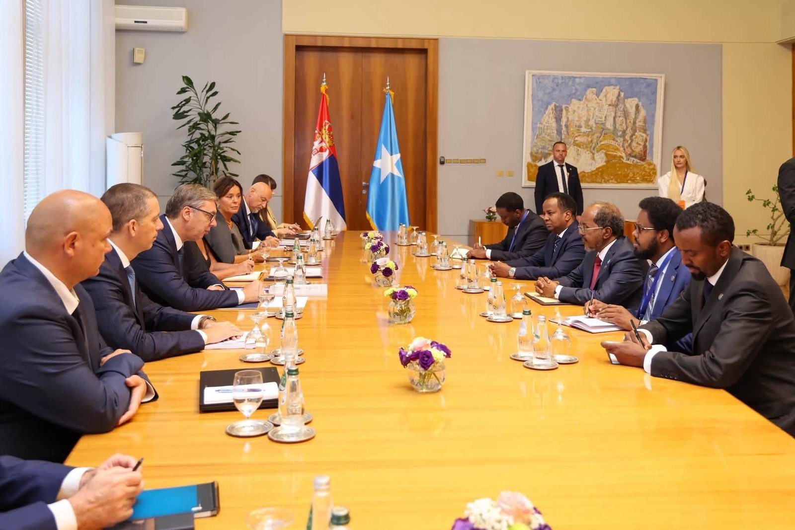 Madaxweyne JFS Dr. Xasan Sheekh Maxamuud iyo Madaxweynaha Serbia oo Ka Wadahadlay Xoojinta Xiriirka Labada Dal
